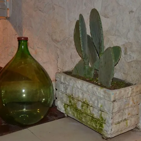 Apartmán House Garden Bari